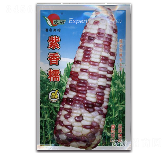 ����Ŵ-Ŵ��������-�ʴ�ũҵ