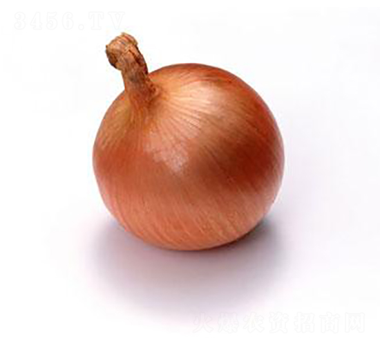 ��ͯ-�������-����ũҵ