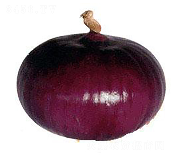 Ȫ�ݳ����-�������-����ũҵ