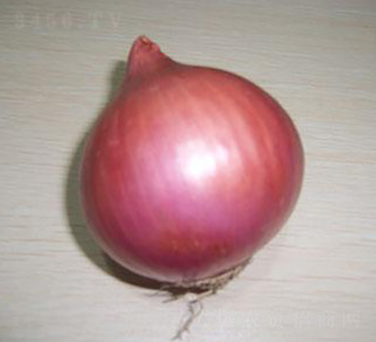 �챦901-��Ƥ�������-����ũҵ
