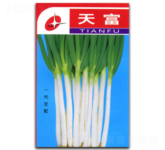 �츻-�������-�������