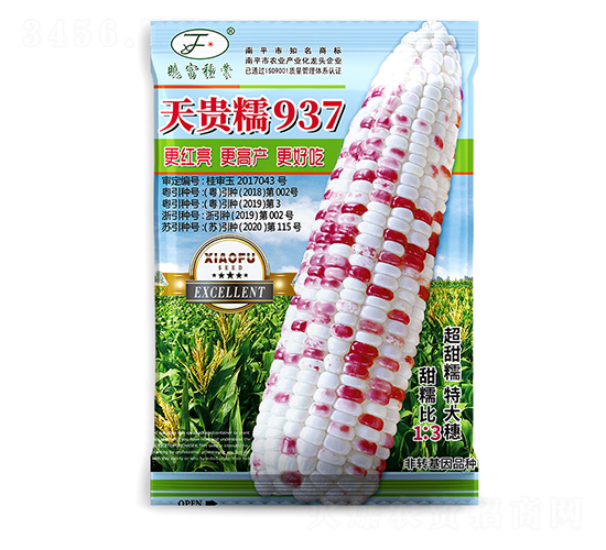 ���Ŵ937-��������-��������