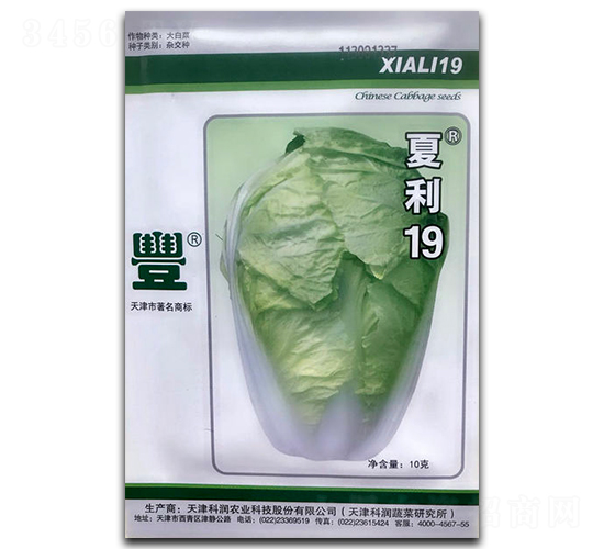 ����19-�ײ�����-�������
