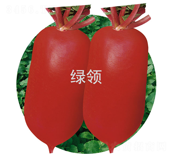 �ĺ�1��-�ܲ�����-������ҵ