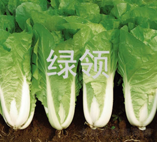 ����1259-�������-������ҵ