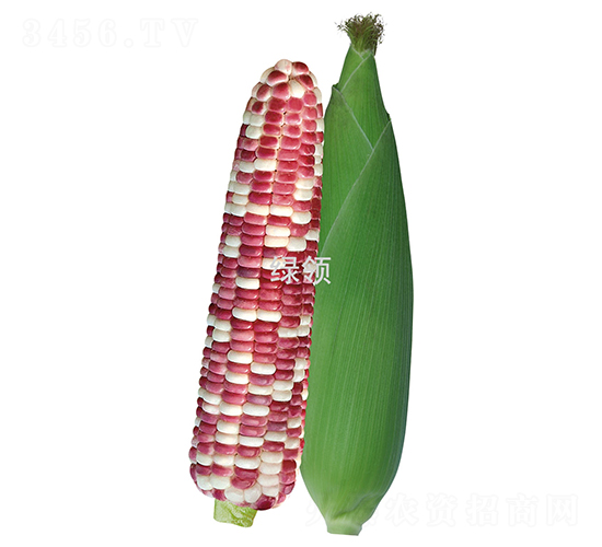 ��Ŵ����-Ŵ��������-������ҵ