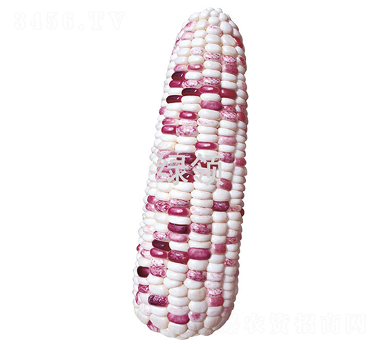 �տ�Ŵ10��-Ŵ��������-������ҵ