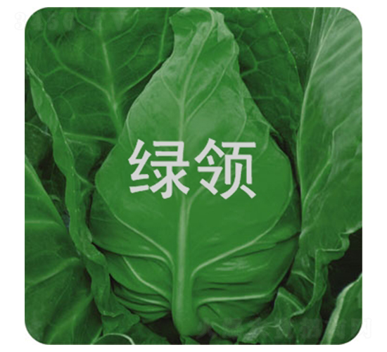 �ո�21-��������-������ҵ