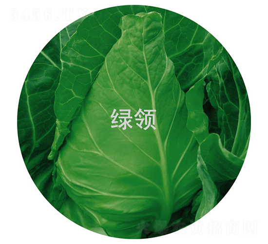 �ո�20-��������-������ҵ