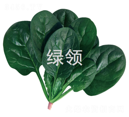 ī��1807-��������-������ҵ