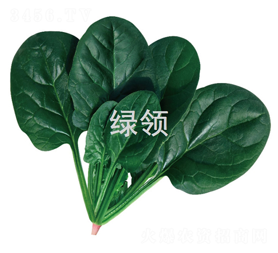 ī��1806-��������-������ҵ