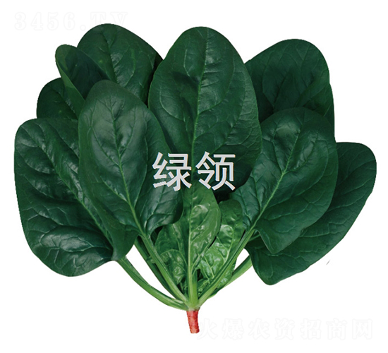 ī��1805-��������-������ҵ