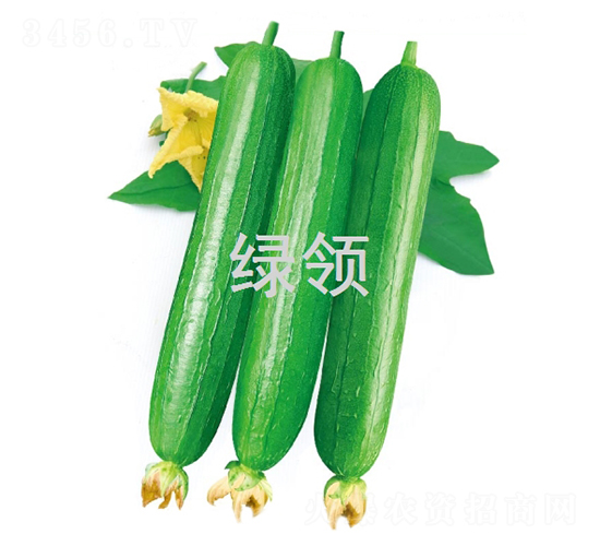 ����2��-˿������-������ҵ