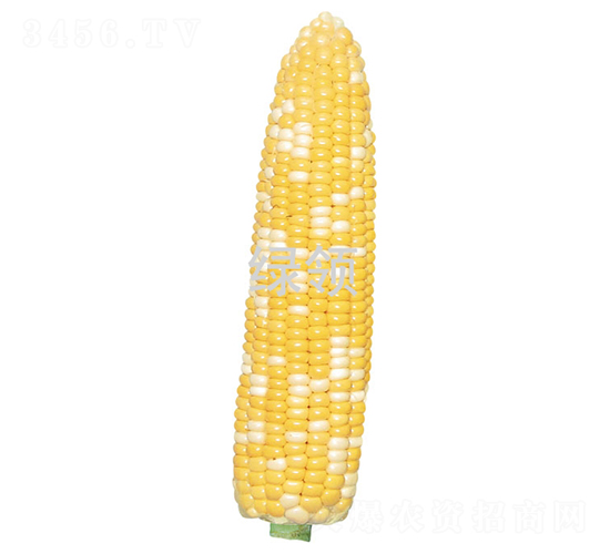 ������3��-��������-������ҵ