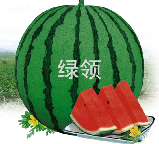 ��������188-��������-������ҵ