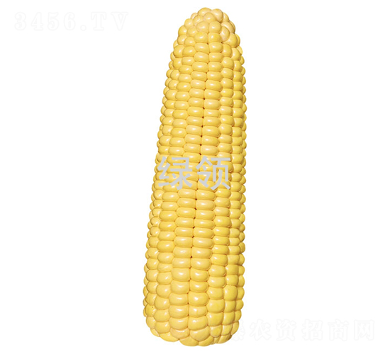����618-��������-������ҵ
