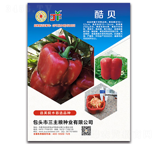 �ᱴ-��������-������