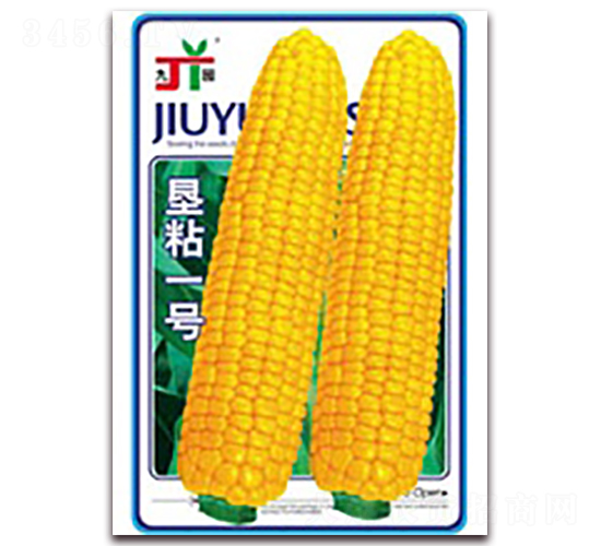 ��ճһ��-Ŵ��������-������