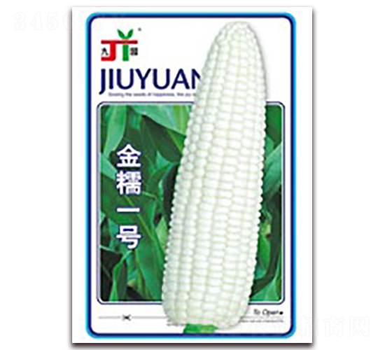 ��Ŵһ��-Ŵ��������-������