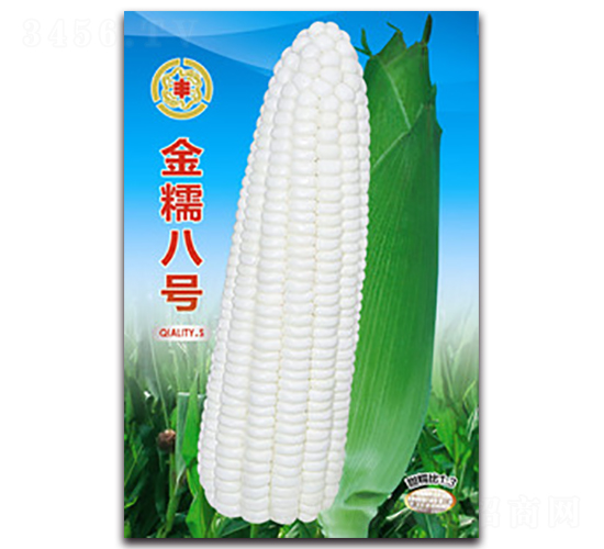��Ŵ�˺�-Ŵ��������-������