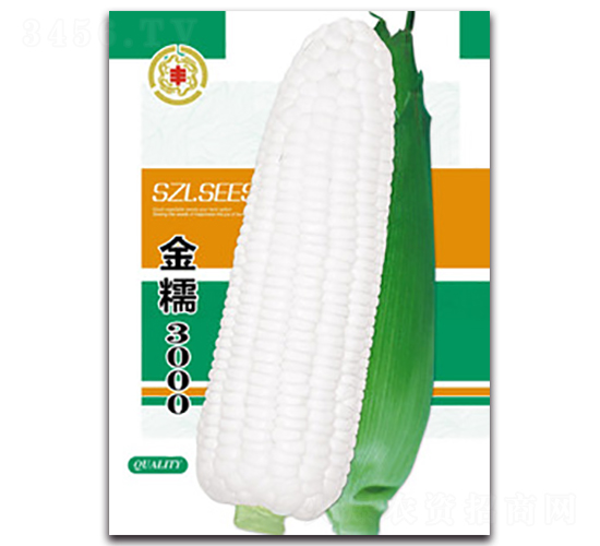 ��Ŵ3000-Ŵ��������-������