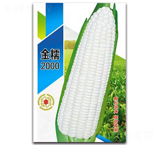 ��Ŵ2000-Ŵ��������-������