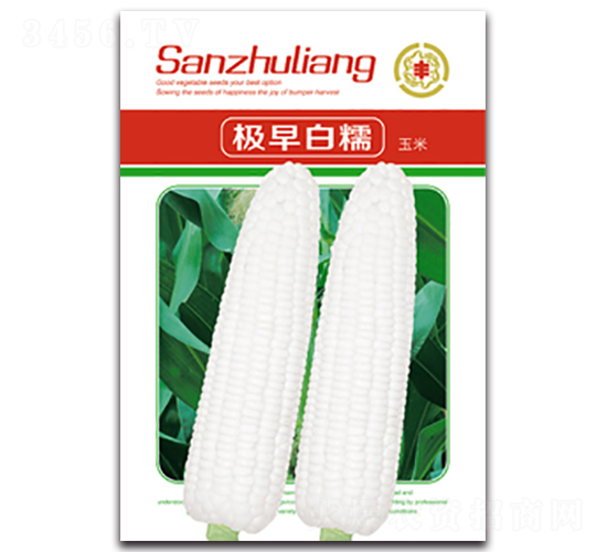 �����Ŵ-Ŵ��������-������