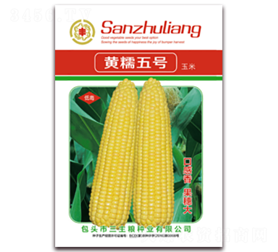 ��Ŵ���-Ŵ��������-������