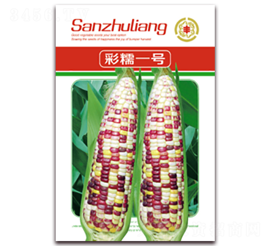 ��Ŵһ��-Ŵ��������-������