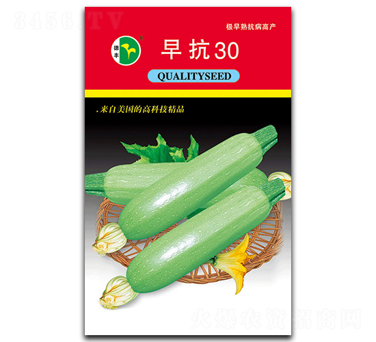 �翹30-����«����-�·���ҵ