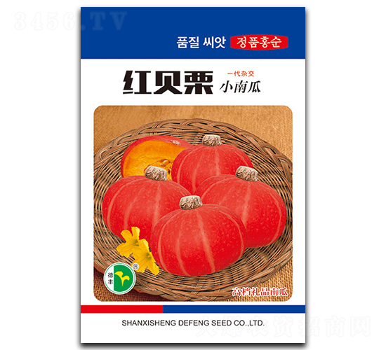 �챴��-�Ϲ�����-�·���ҵ