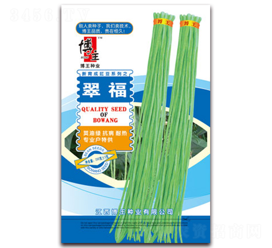 �丣-��������-����