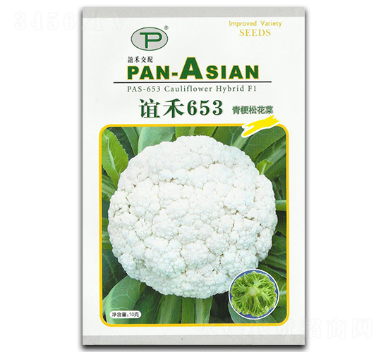 ���653-�ɻ�������-���