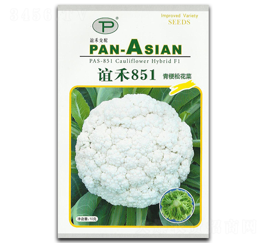 ���851-�ɻ�������-���