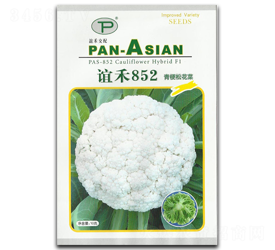 ���852-�ɻ�������-���