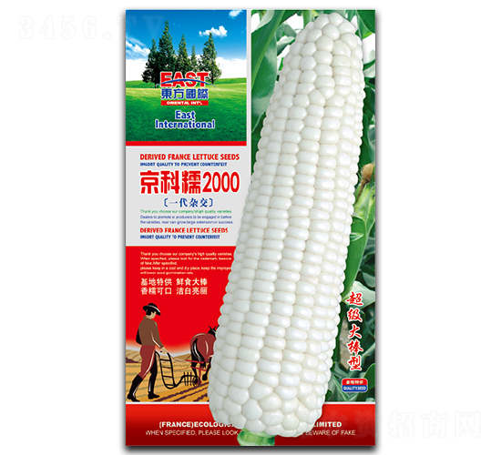 ����Ŵ2000-Ŵ��������-�����
