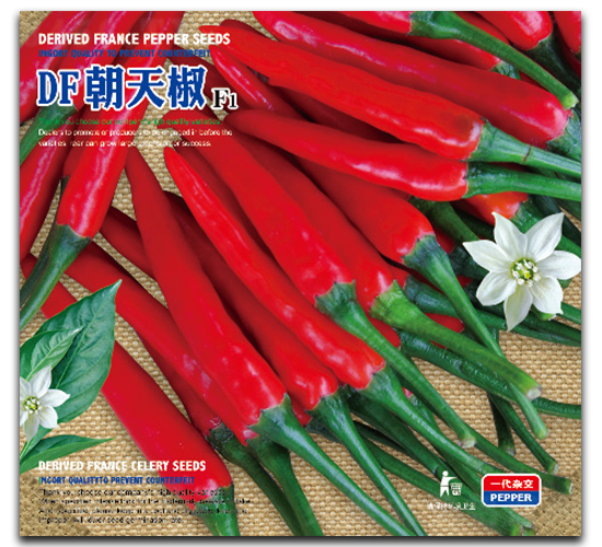 DF���콷-��������-�����