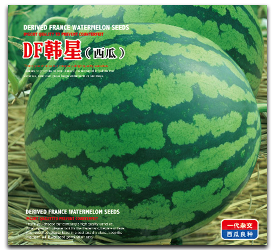 DF����-��������-�����