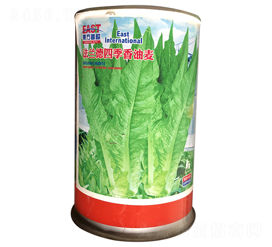 �������ļ������󣨹�װ��-���������-�����