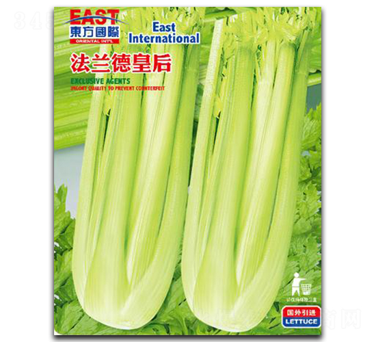 �����»ʺ󣨹ޣ�-�۲�����-�����
