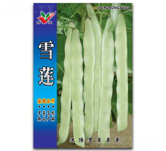 ѩ��-�ܶ�����-��ũũҵ