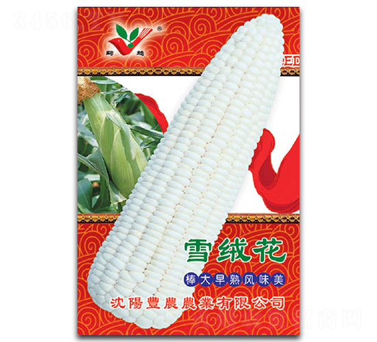 ѩ�޻�-Ŵ��������-��ũũҵ