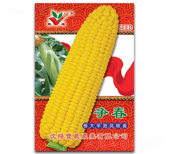 ����-Ŵ��������-��ũũҵ