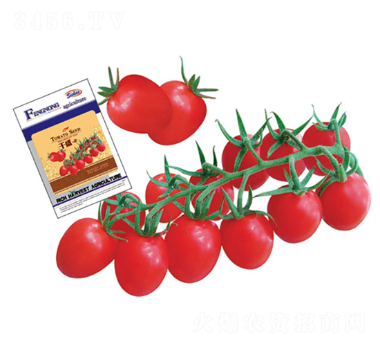 ǧʢ-2-��������-��ũũҵ