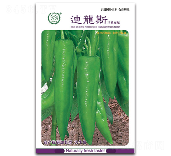 ����˹-��������-��ũũҵ