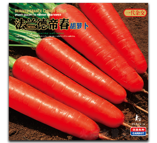 �����µ۴�-���ܲ�����-�����