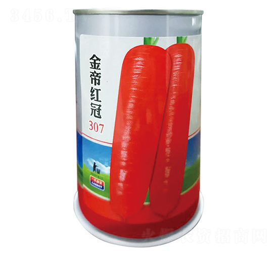 ��ۺ��307-���ܲ�����-�����