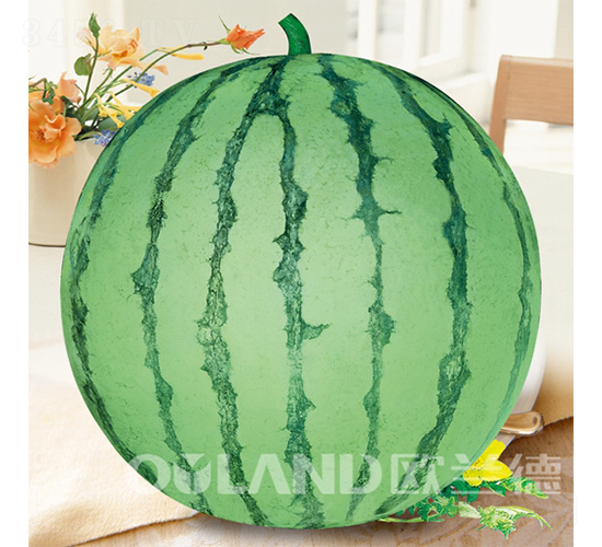 ���84-24-��������-ŷ����