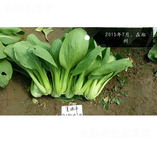 �Ĳ���-�๣������-ŷ����