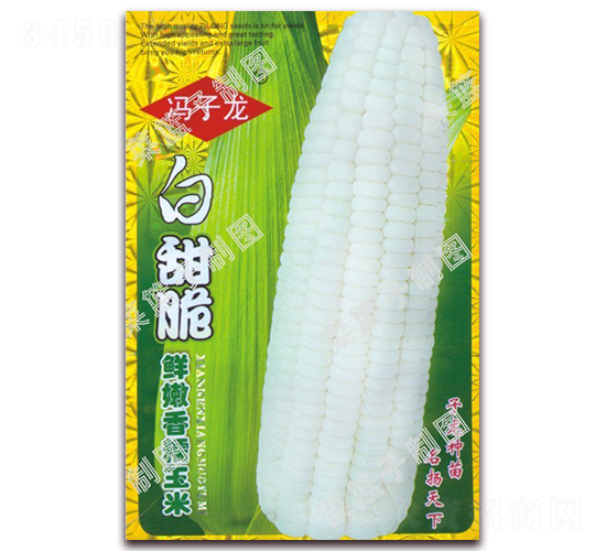�����������Ŵ����-Ŵ��������-������ҵ